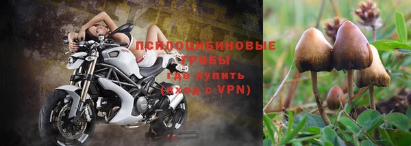 твердый Козловка