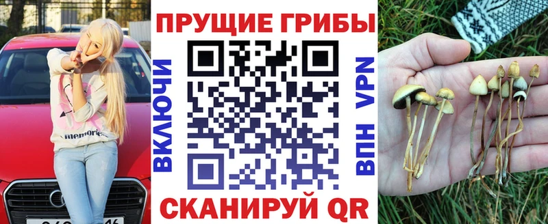 Купить  Ставрополь  Галлюциногенные грибы MAGIC MUSHROOMS 